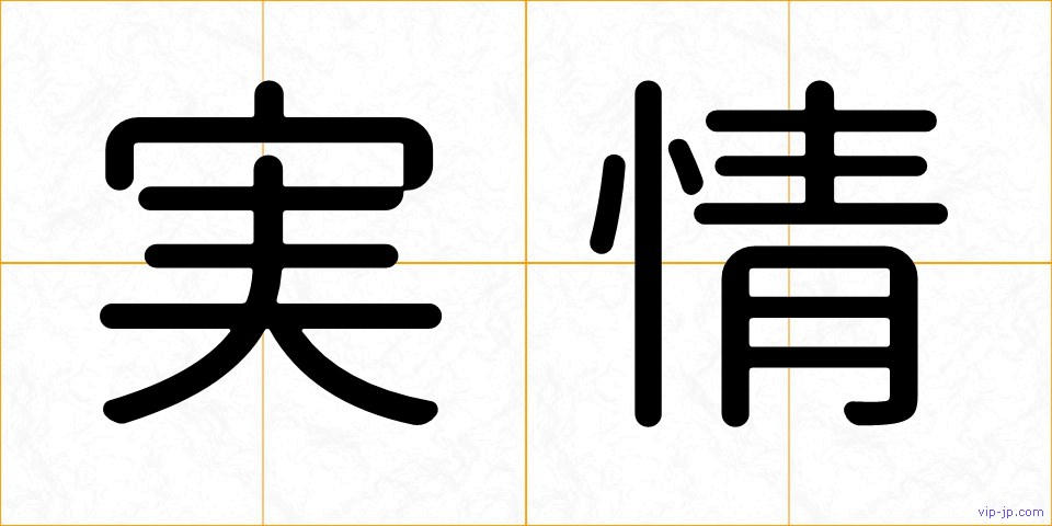 実情の画像