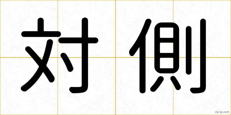対側の画像