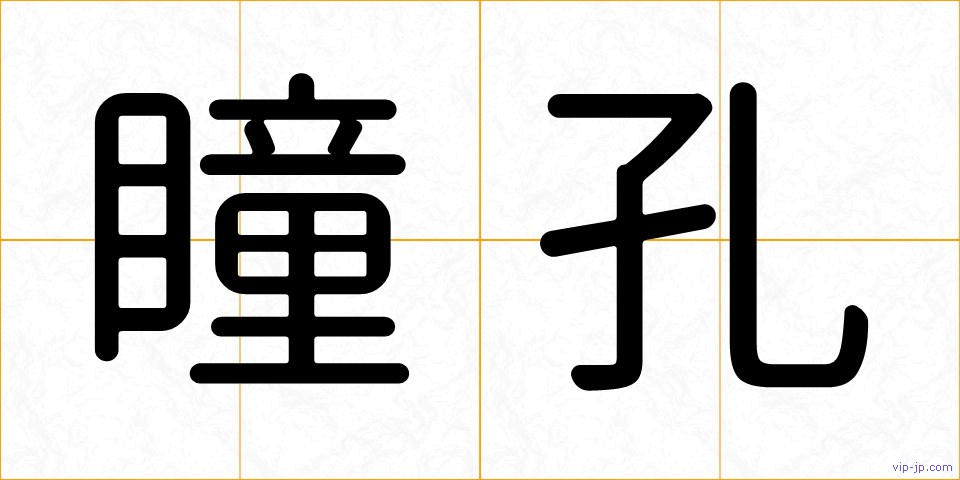 瞳孔の画像