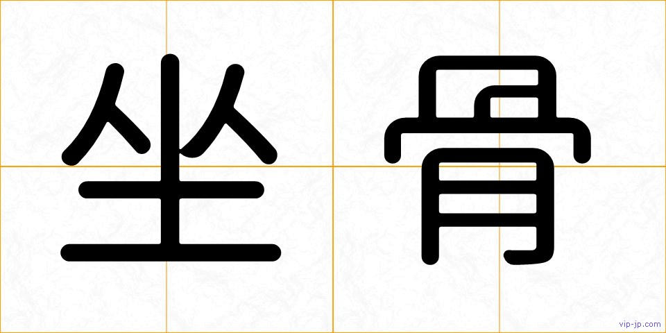 坐骨の画像