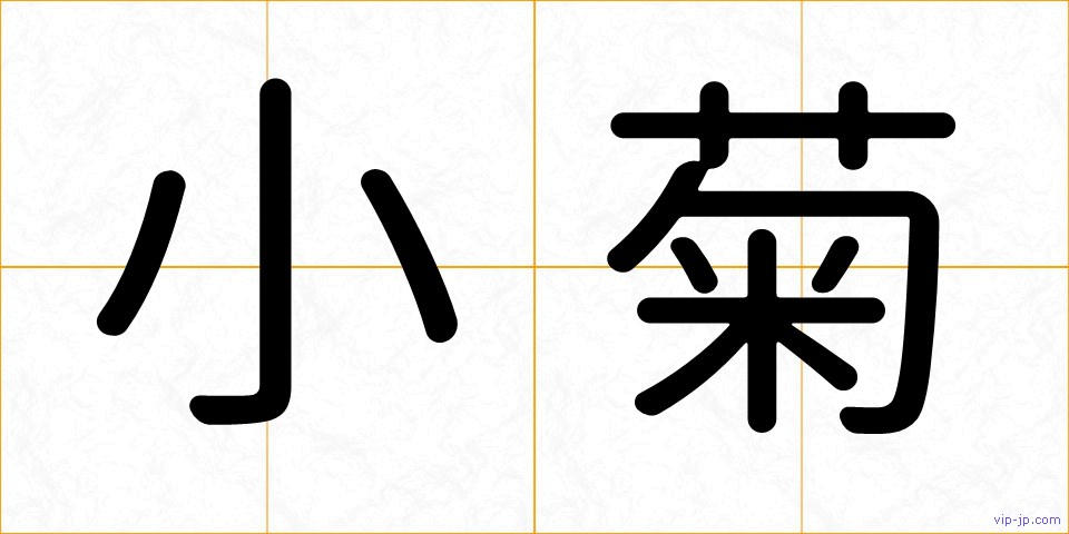 小菊の画像