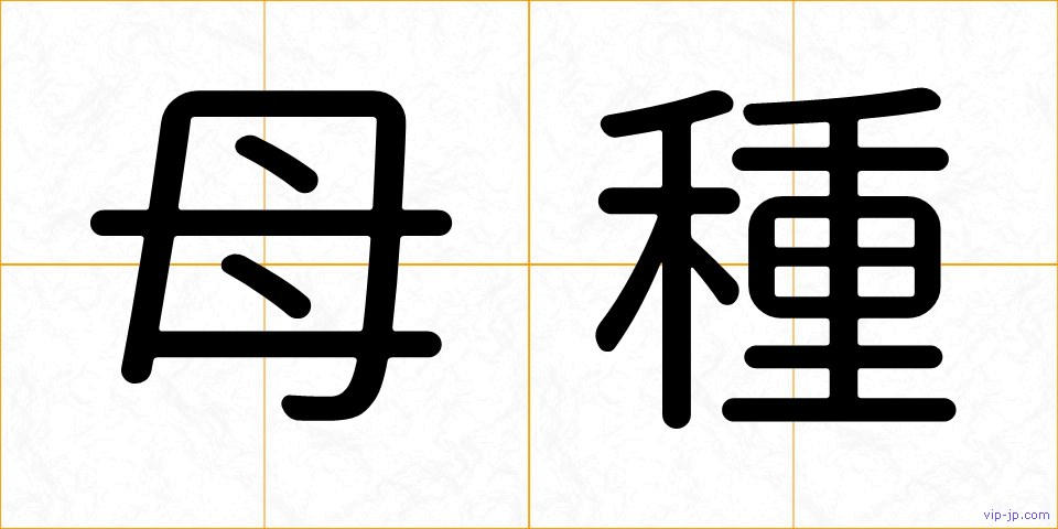 母種の画像