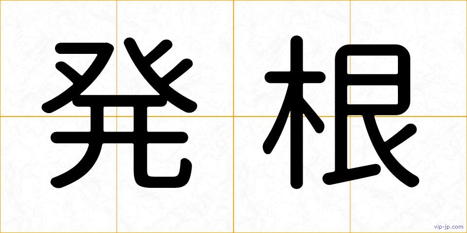 発根の画像