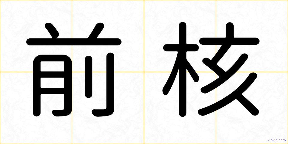 前核の画像