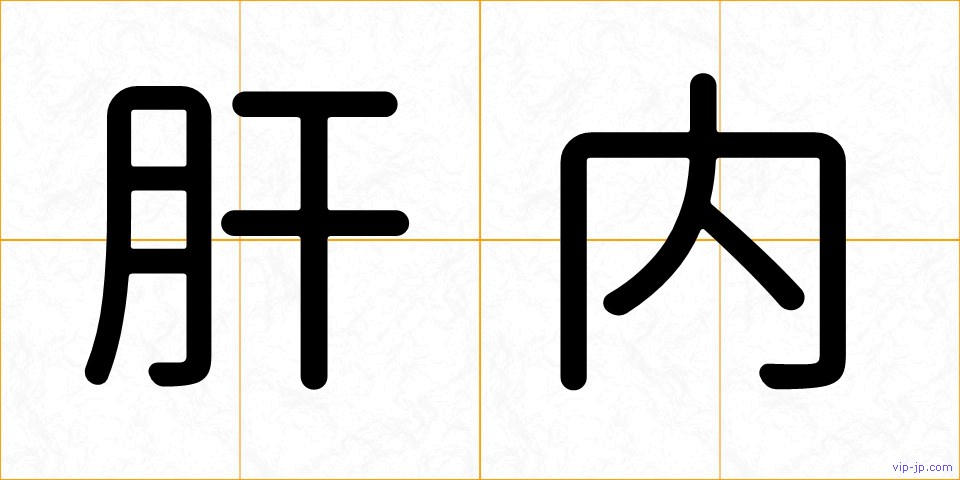 肝内の画像