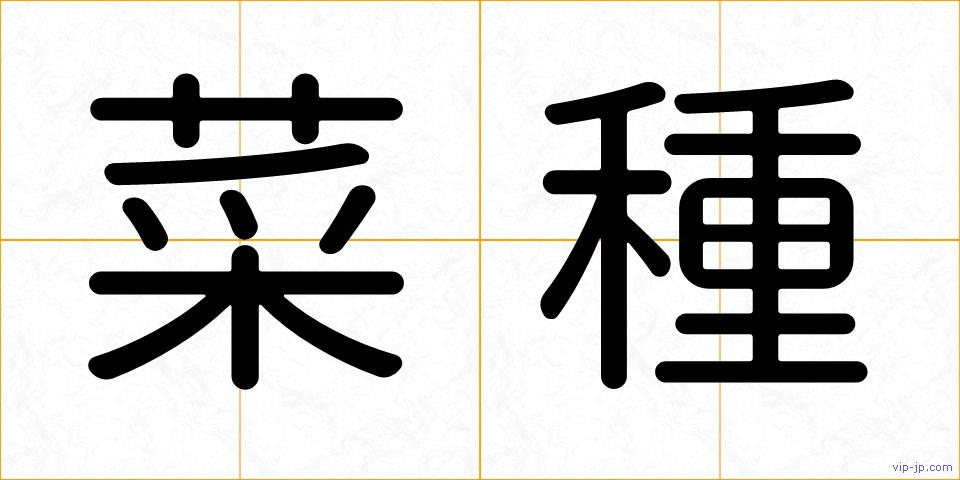 菜種の画像