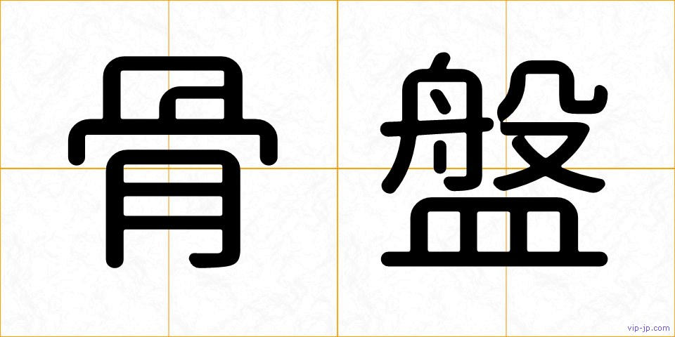 骨盤の画像