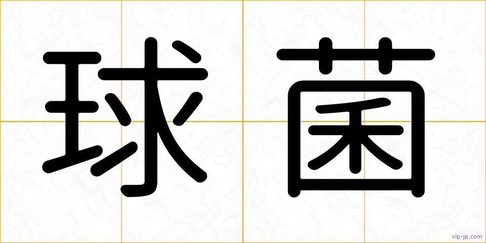 球菌の画像