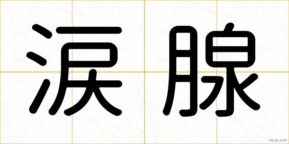 涙腺の画像