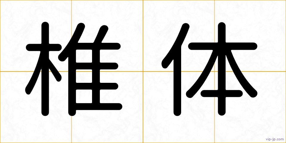 椎体の画像