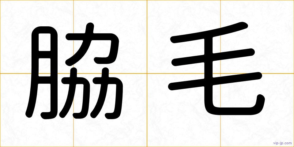脇毛の画像