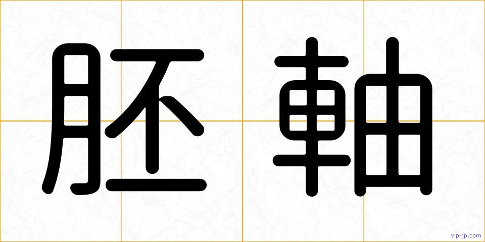 胚軸の画像