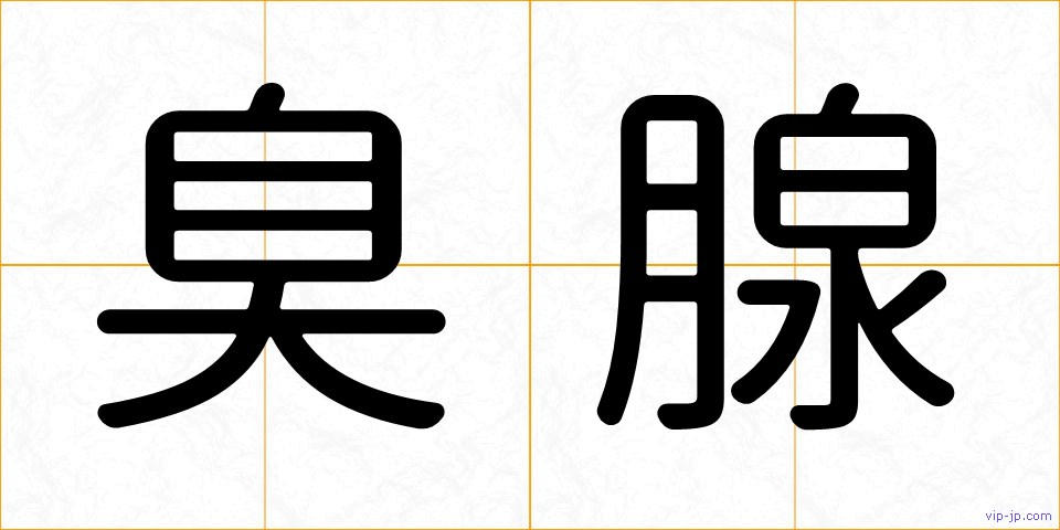 臭腺の画像