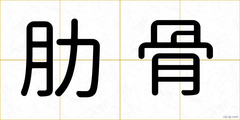肋骨の画像