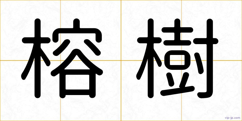榕樹の画像