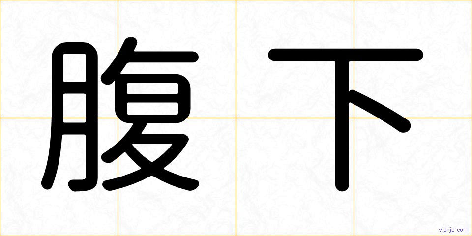 腹下の画像