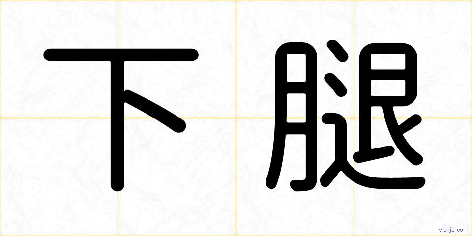 下腿の画像
