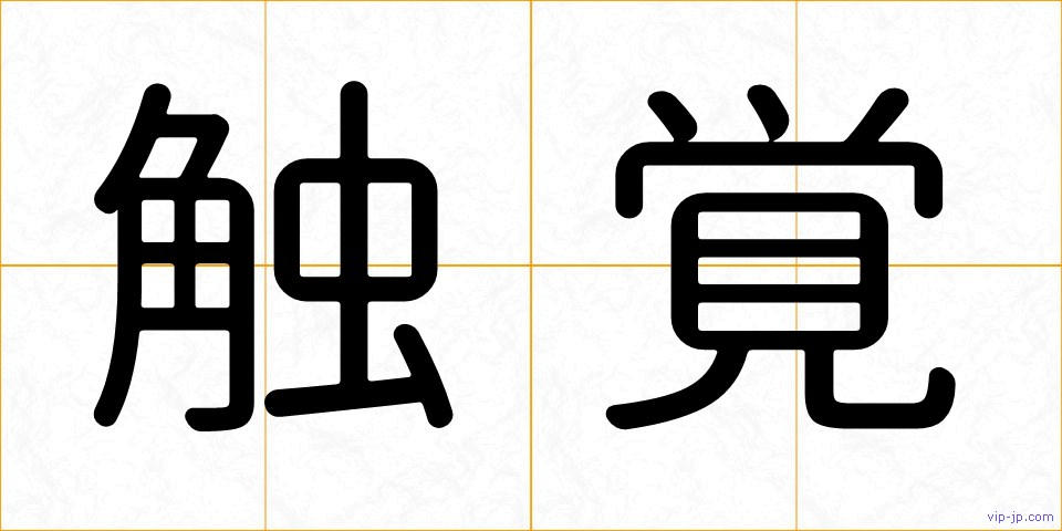 触覚の画像