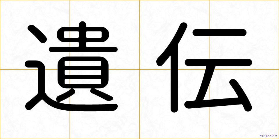 遺伝の画像