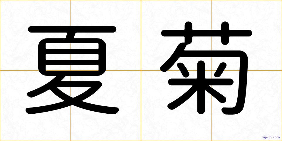 夏菊の画像