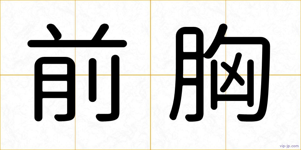 前胸の画像