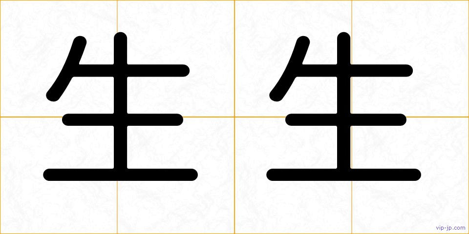 生生の画像