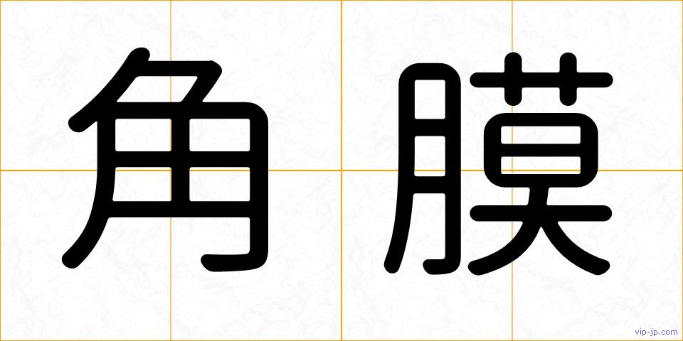 角膜の画像