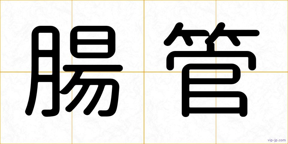 腸管の画像