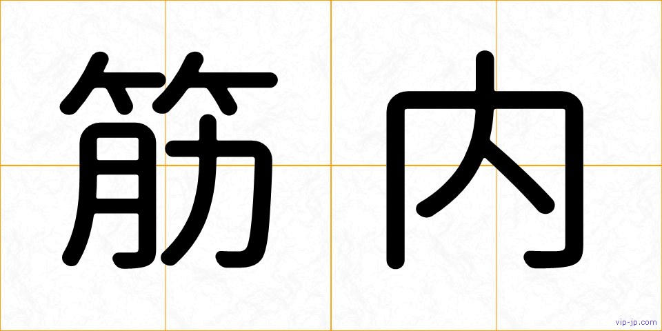 筋内の画像