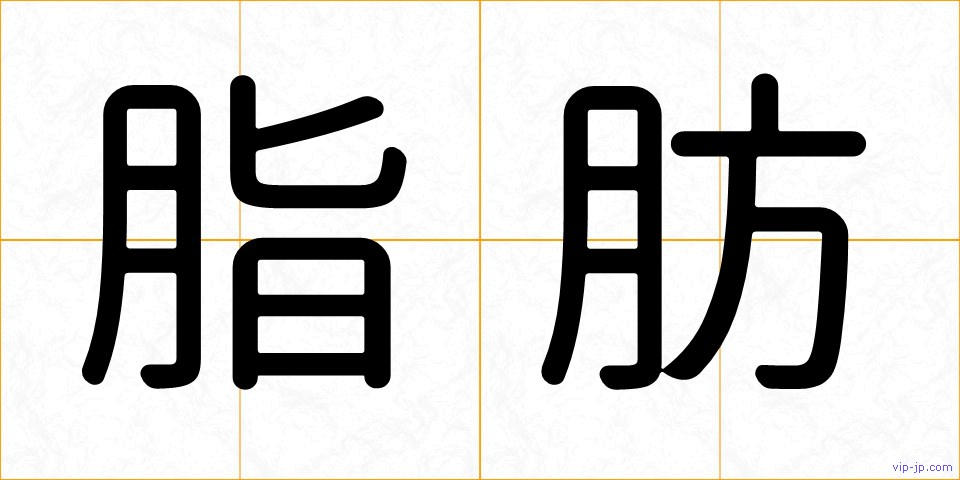 脂肪の画像