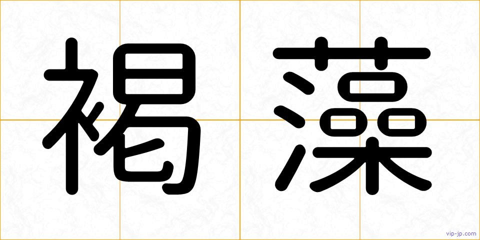 褐藻の画像