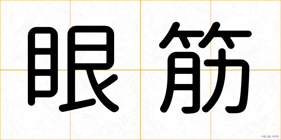 眼筋の画像