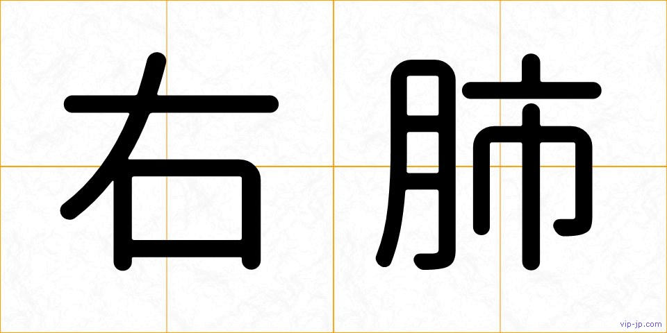 右肺の画像