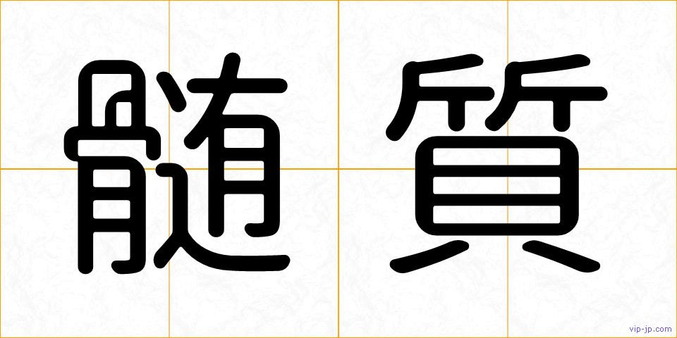 髄質の画像