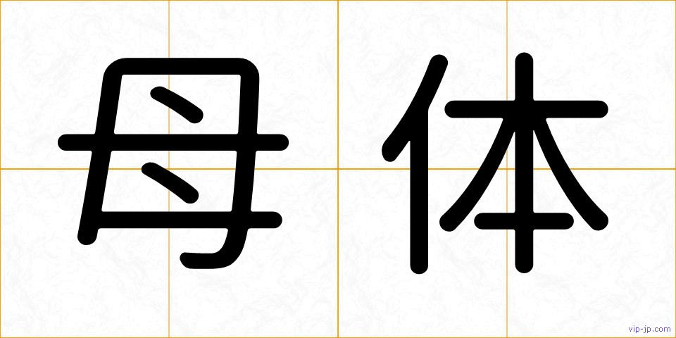 母体の画像