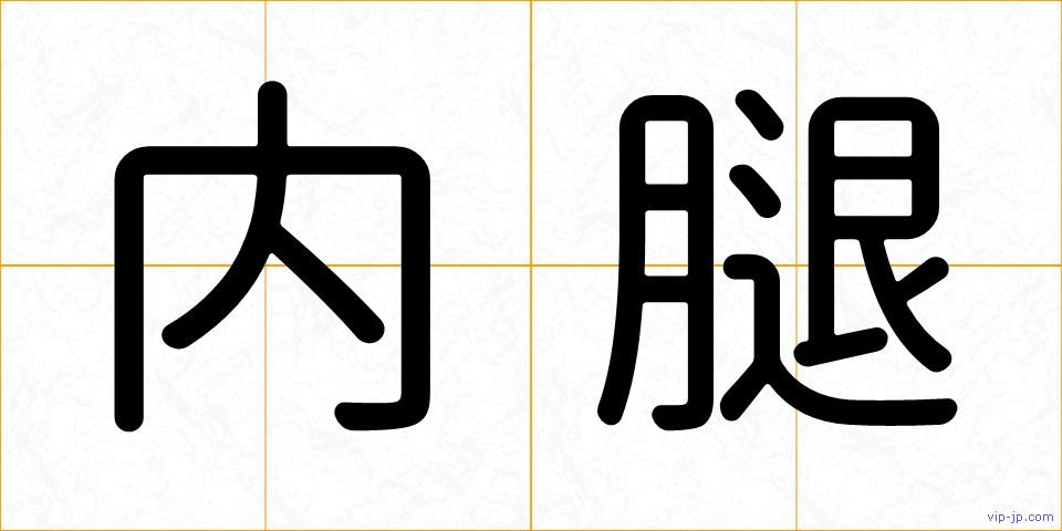 内腿の画像