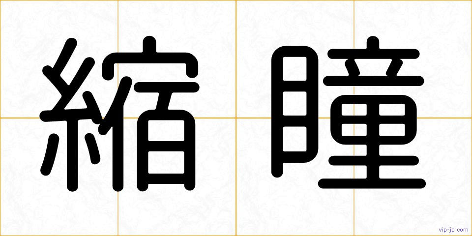 縮瞳の画像