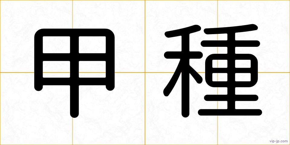 甲種の画像