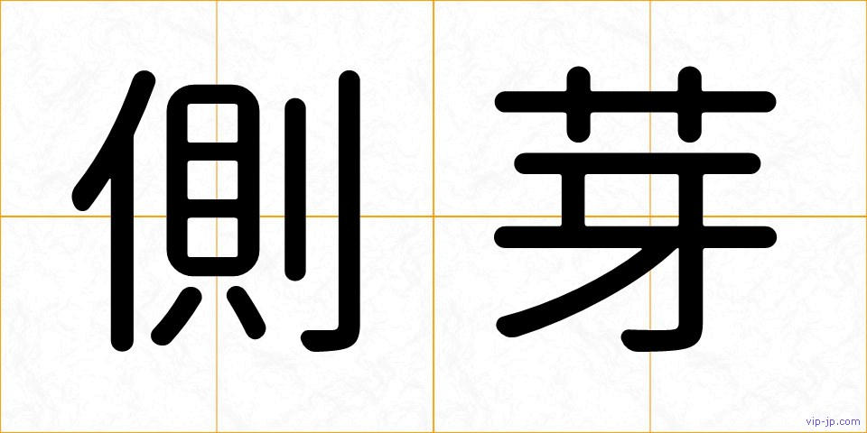 側芽の画像