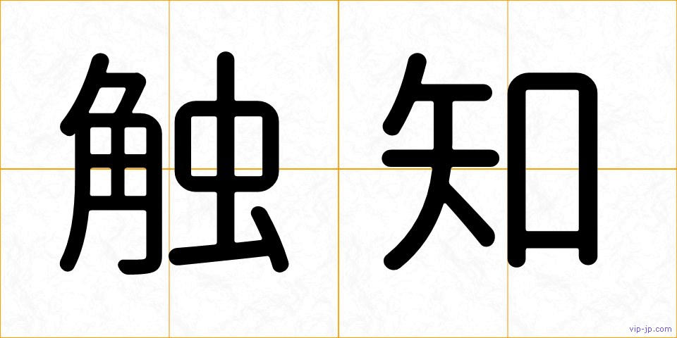 触知の画像