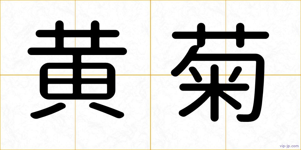黄菊の画像