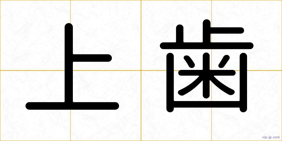 上歯の画像