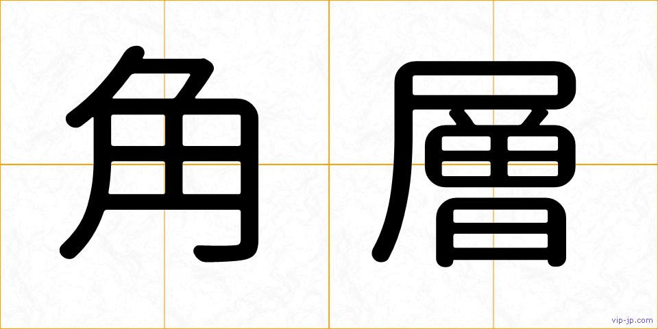 角層の画像