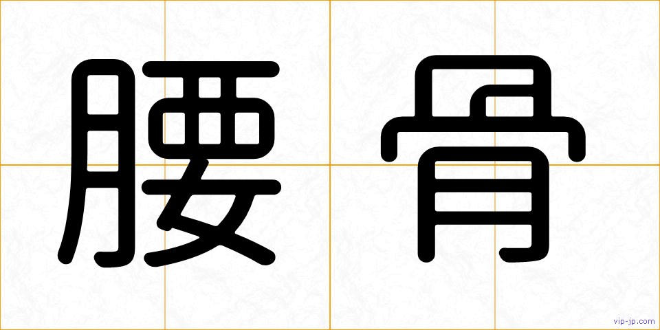 腰骨の画像
