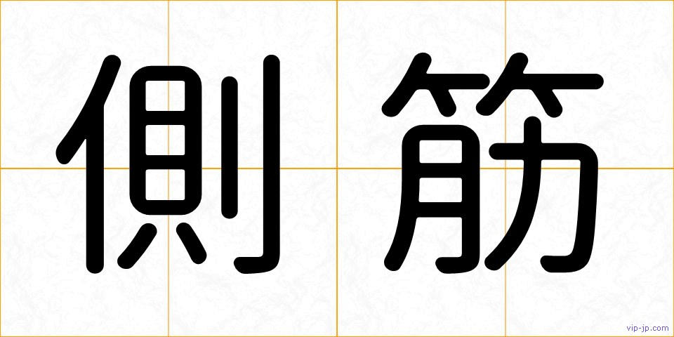 側筋の画像