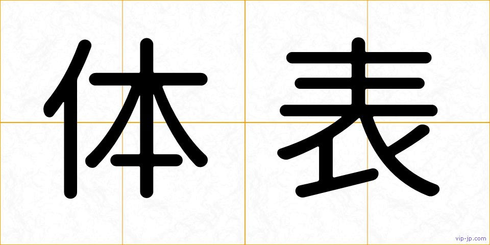 体表の画像