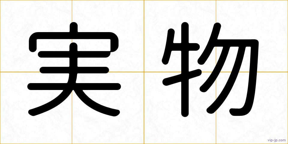 実物の画像