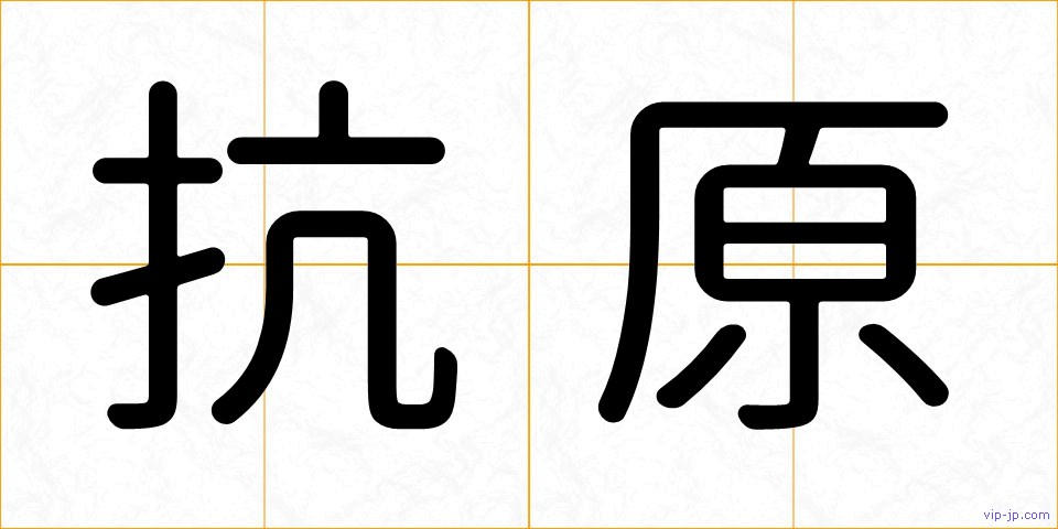 抗原の画像