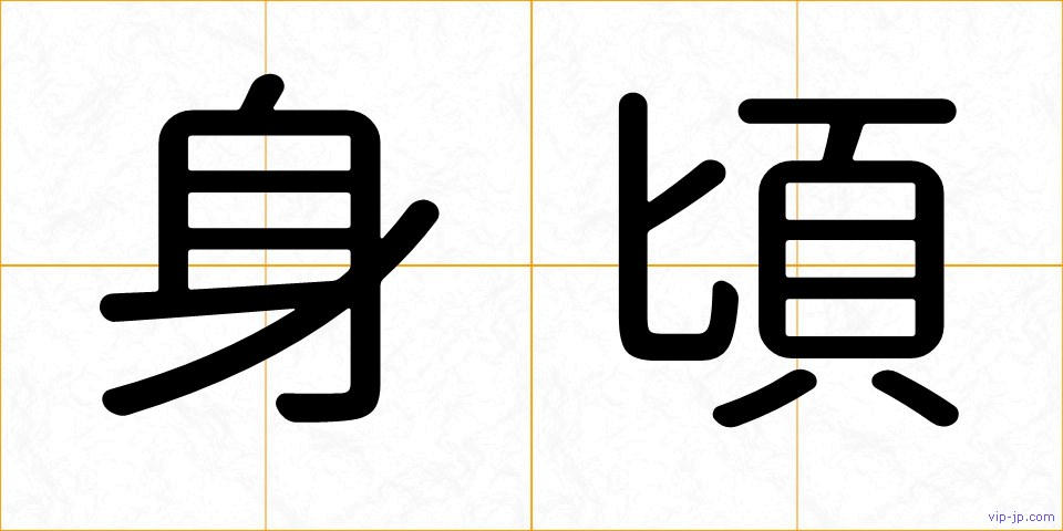 身頃の画像