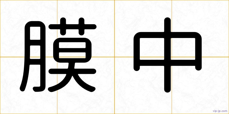 膜中の画像